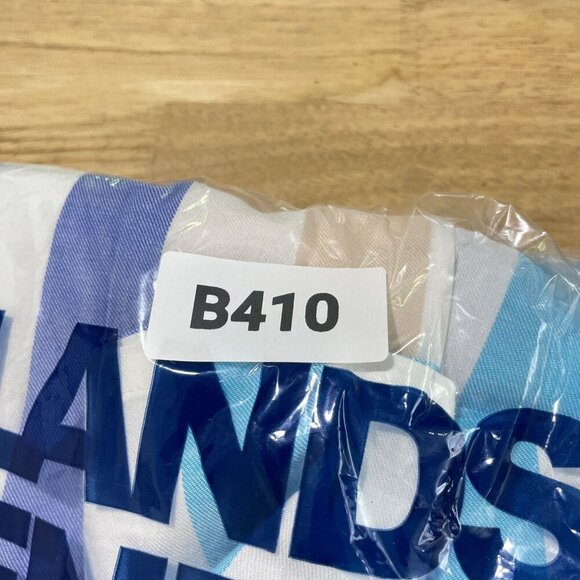 NEW Lands' End Men's L Striped Button-Down Shirt Traditional Fit Cotton/Viscose - Picture 8 of 8